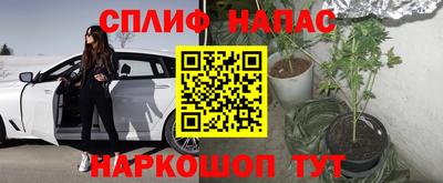 амфетамин Кингисепп