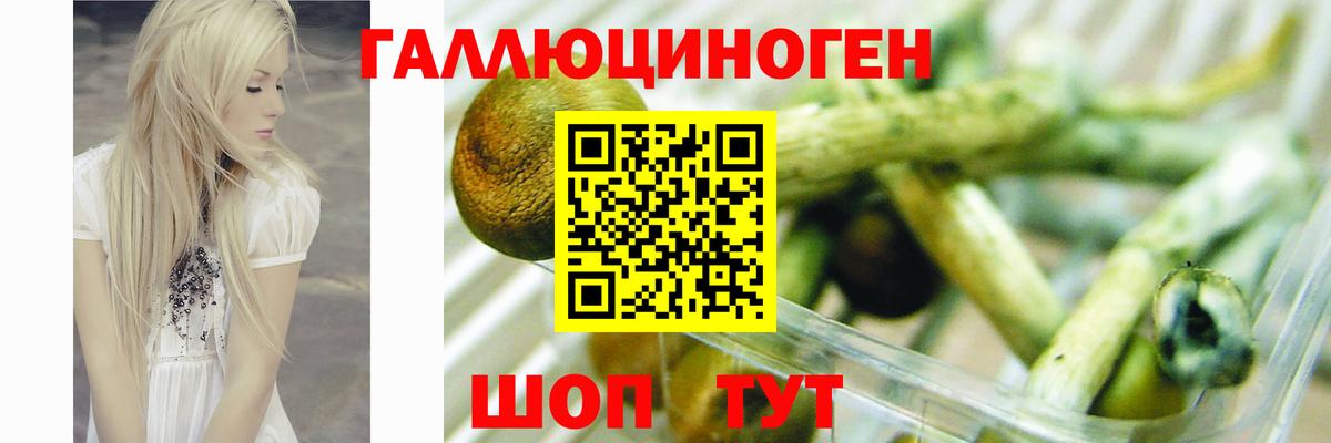 Псилоцибиновые грибы ЛСД  дарнет шоп  Костомукша  Вход с VPN  Псилоцибиновые грибы прущие грибы 